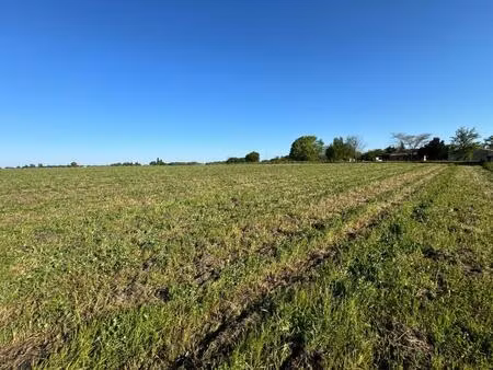 vente terrain 31517 m² plassac (17240)