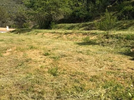 terrain constructible