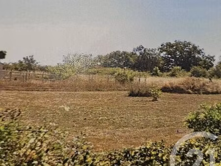 terrain à vendre - 4793 m2 - st angel - 03 - auvergne