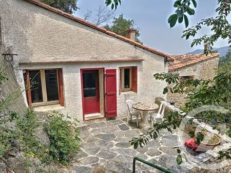 maison à vendre - 5 pièces - 136 35 m2 - montferrer - 66 - languedoc-roussillon