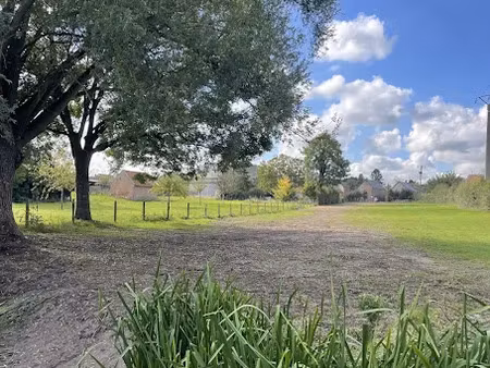 vente terrain 3363 m² à le quesnoy (59530)  65 000 €