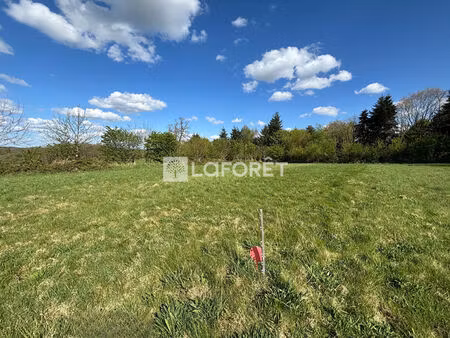 terrain ste opportune 1198 m2