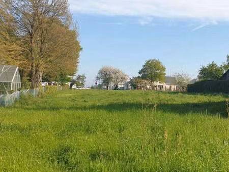 vente terrain à mouzeil (44850) : à vendre / 733m² mouzeil