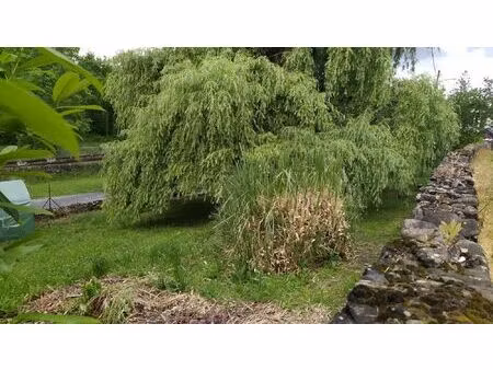 vente maison 3 pièces 66 m² oloron-sainte-marie (64400)