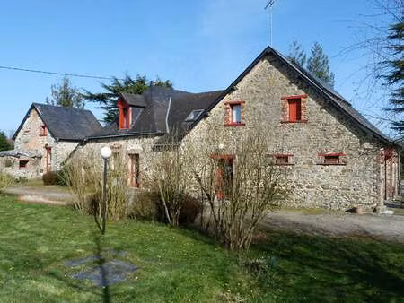 vente maison à craon (53400) : à vendre / 350m² craon