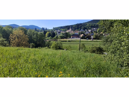 saulxures  petit terrain de 4.06 ares  sur les hauteurs du v