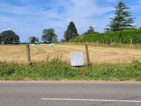 vente terrain à batir 1225 m² à vieux-berquin (59232)  130 000 €