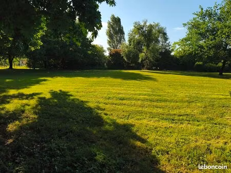 terrain constructible