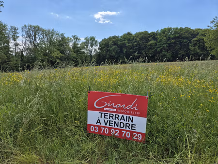 magnifique terrain de 41.65 ares dont 10 ares constructibles