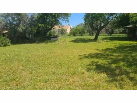 achat terrain 528m² paulhan 34230
