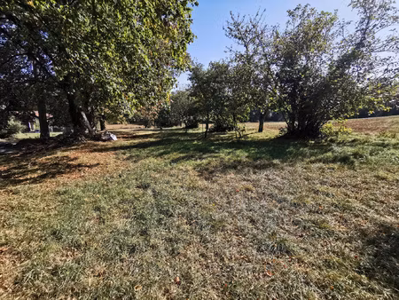 terrain plat de 1803 m2 arboré avec vue campagne