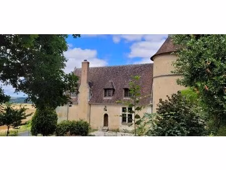 prestigieux château de 154 m2 en vente - lavardin  centre