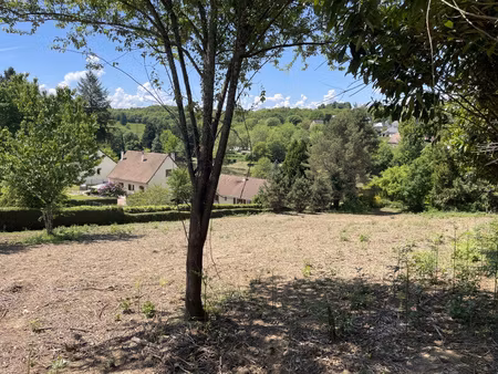 achat terrain 1 318m² st sornin lavolps 19230