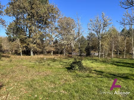 ? terrain constructible – 2800 m² – origne