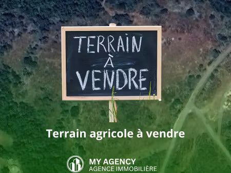 vente terrain 10080 m² caux (34720)