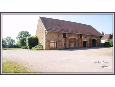 local professionnel à vendre semur en auxois 12 pièce(s) 590m2 226 800€