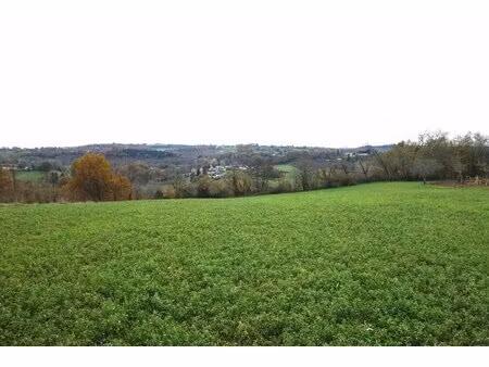 vente terrain 13556 m² nailhac (24390)