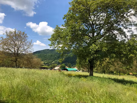 terrain constructible 836m² massieu 38620