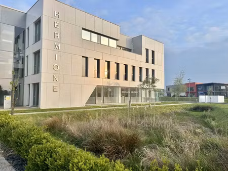 a louer  hermione bat b / 1 er etage