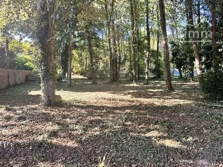 terrain constructible arboré