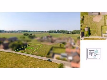 terrain à vendre de 1137 m² à aubechies (vbc75214)