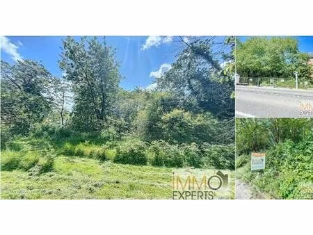 terrain à vendre à rue de velaine 115 landenne (vbc75429)