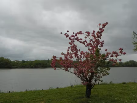 location meublée appartement 1 pièce 20 m² à cambes (33880)  590 €