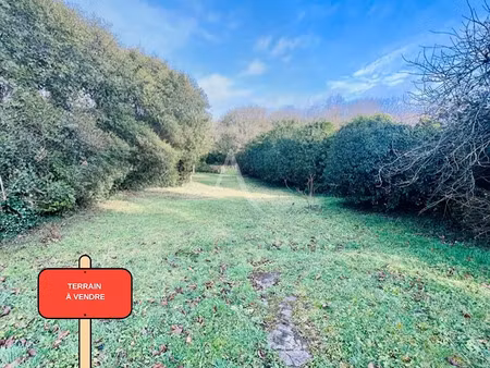 vente terrain 1324 m² à claye-souilly (77410)  272 000 €