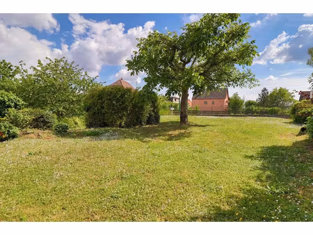 vente terrain 450 m² à hattstatt (68420)  130 000 €