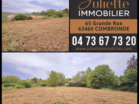 terrain de 2412m2 dont 703m2 constructible