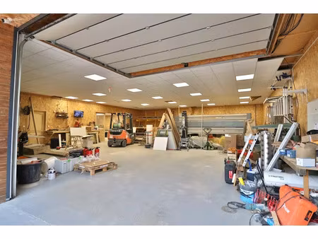 vente locaux professionnels 0 pièces 430 m² à montaulin (10270)  199 000 €
