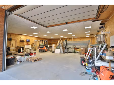 vente locaux professionnels 430 m² à montaulin (10270)  199 000 €