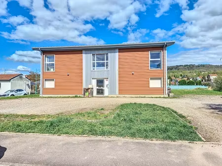 vente locaux professionnels 303 m² à malzéville (54220)  470 000 €