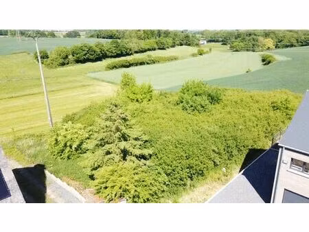 terrain constructible