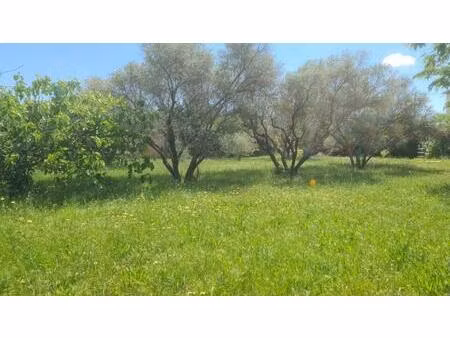 achat terrain 817m² paulhan 34230