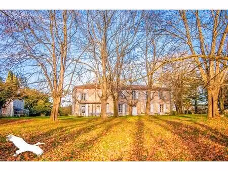 vente maison 7 pièces 268 m² saverdun (09700)