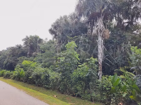 achat terrain 6 500m² matoury 97351