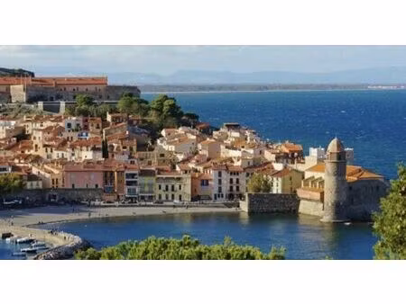 vente local commercial 40m2 collioure 66190 - 220000 € - surface privée