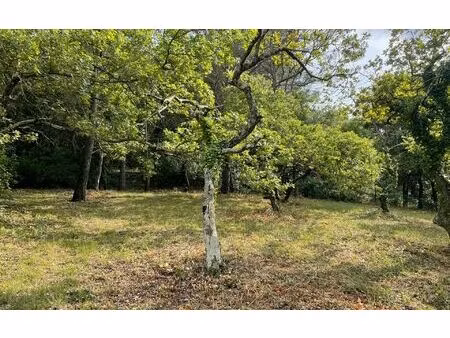 terrain saint-paul-trois-châteaux m² t- à vendre  155 000 €