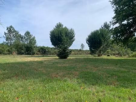 vente terrain 768 m² à lue (40210)  92 000 €