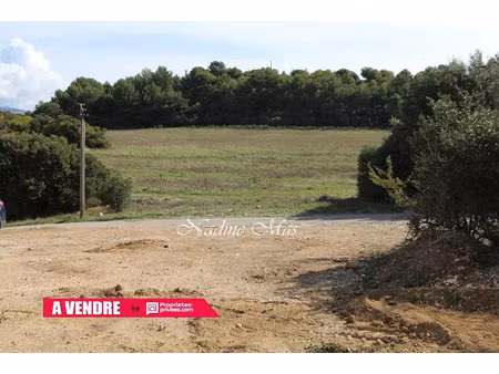 vente terrain 1650 m² à plan-d'aups-sainte-baume (83640)  170 000 €