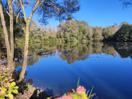 vente terrain 23630 m² à foëcy (18500)  164 000 €