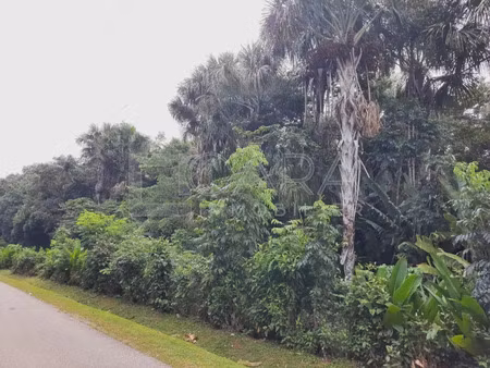 vente terrain 6500 m² à matoury (97351)  324 000 €