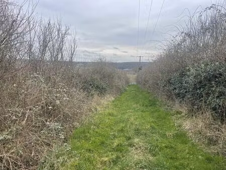 terrain de loisirs chateau renard