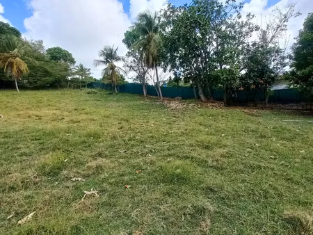 terrain à vendre le gosier 1043m2 235 000€