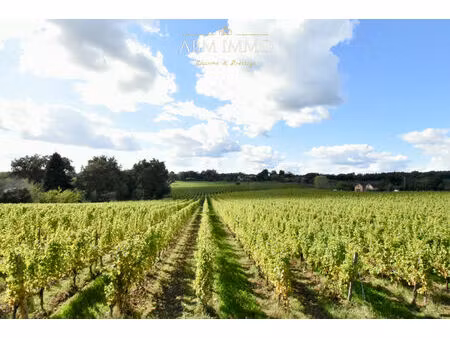 domaine viticole - appellation prestigieuse