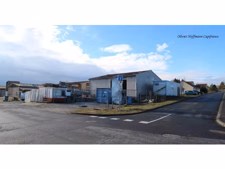 local professionnel à vendre sarrebourg 3 pièce(s) 330m2 189 000€