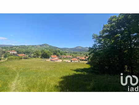 vente terrain 1000 m² à saint-vincent (43800)  40 000 €