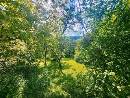 ? à vendre : terrain constructible de 460m² à maron ?