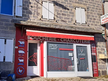 achat appartement 6 pièces 140m² mazet st voy 43520